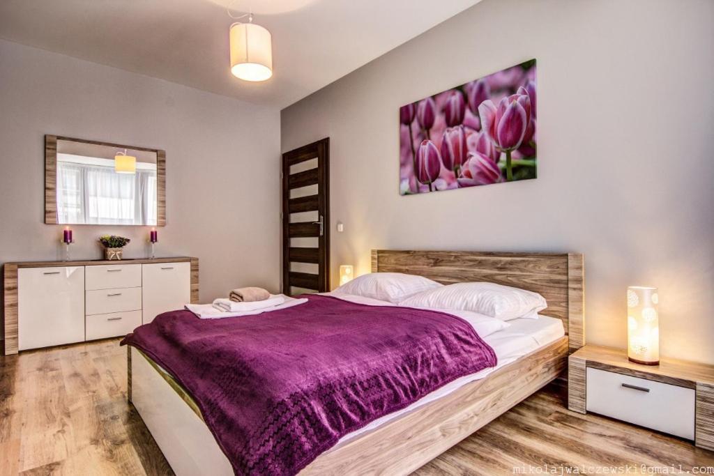 Apartamenty Oaza Deluxe ซาโกปาเน ภายนอก รูปภาพ